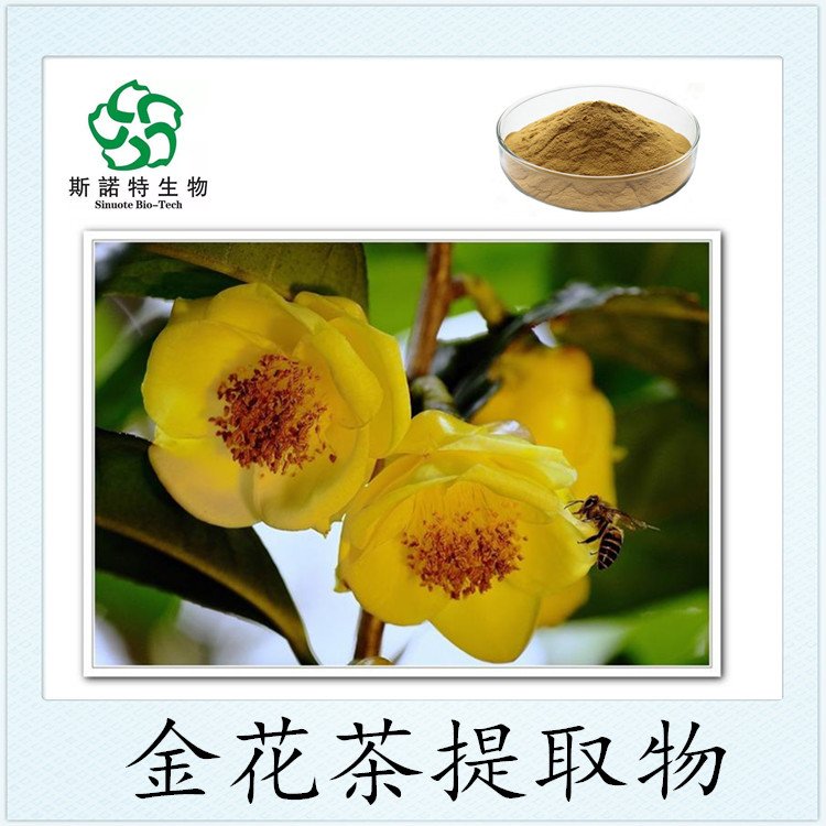 金花茶提取物 斯诺特生物拆包打样定制 纸板桶25公斤