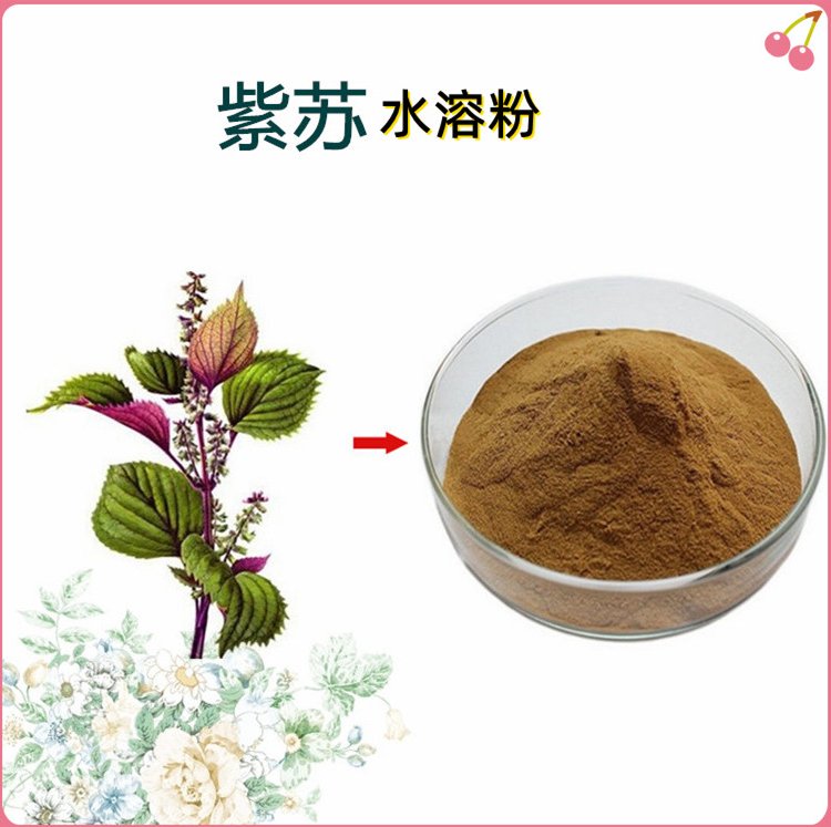 紫苏粉 水溶苏叶粉 固体饮料压片糖果原料 常年供应