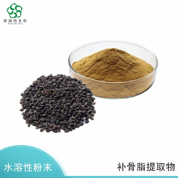 斯诺特 补骨脂提取物 10倍浓缩 精细粉末 无肉眼可见杂质