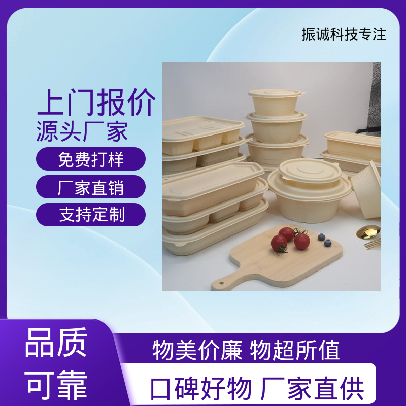 振诚科技 带盖 符合限塑标准餐盒 儿童带餐便携环保 一次性分格餐碗