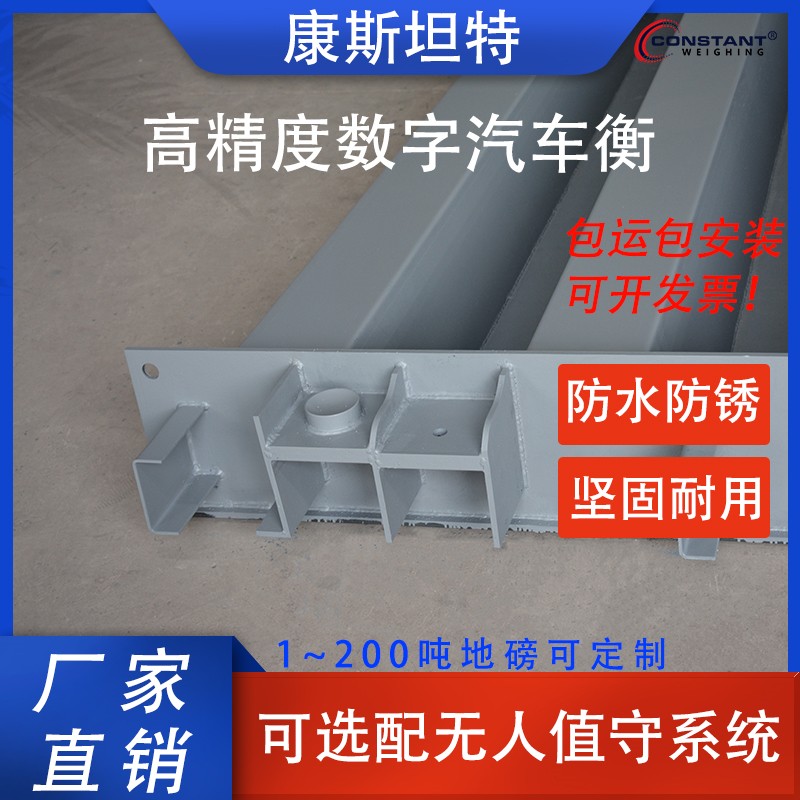 【康斯坦特】 抗腐蚀 畜牧 汽车衡 带双引坡 SCS-150T 包安装