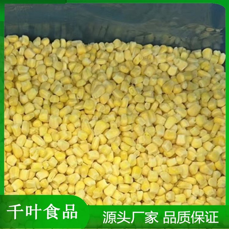 清脆爽口速冻混合菜 冻甜玉米粒 速冻玉米 厂家精选