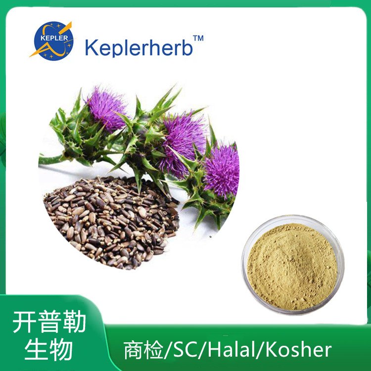 水飞蓟素 水飞蓟提取物10:1 SC工厂 中草药提取物 可定制