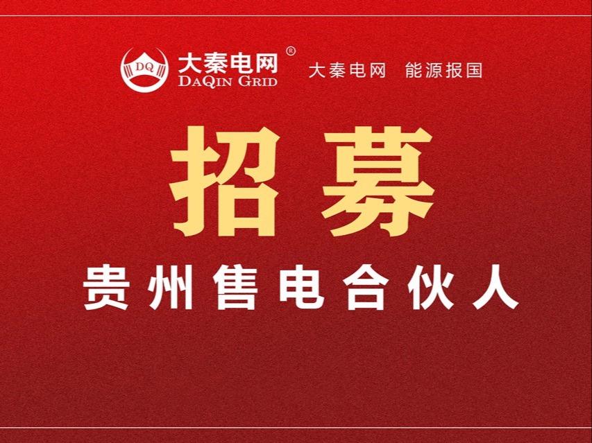 大秦电网 DAQIN GRID DQ