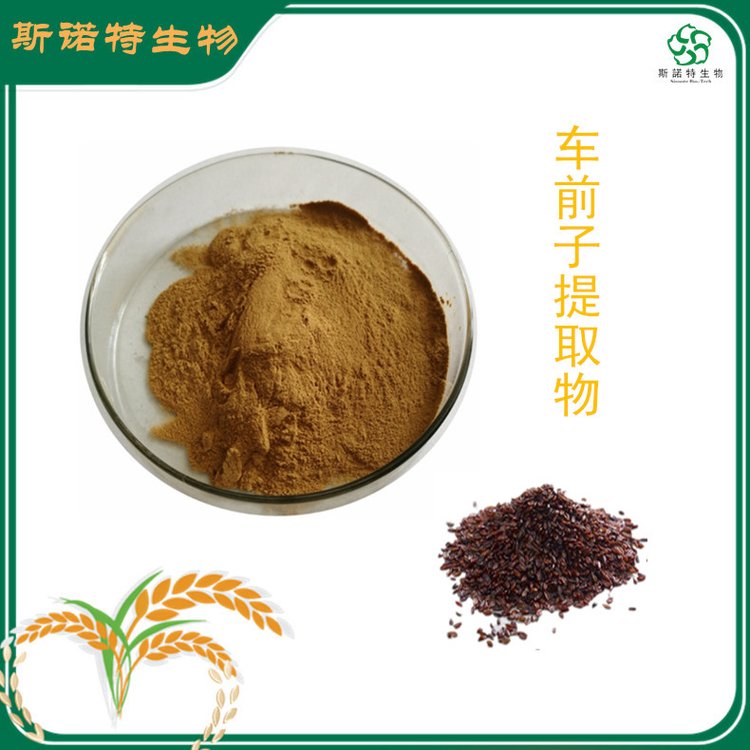 车前子提取物 成熟种子萃取 多规格 浸膏 粉末 支持定制
