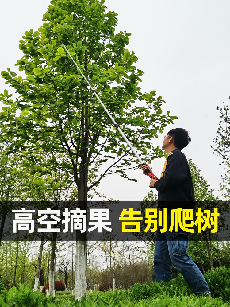 摘水果杨梅荔枝芒果高枝剪伸缩杆高空剪采摘果子神器摘果果树剪刀