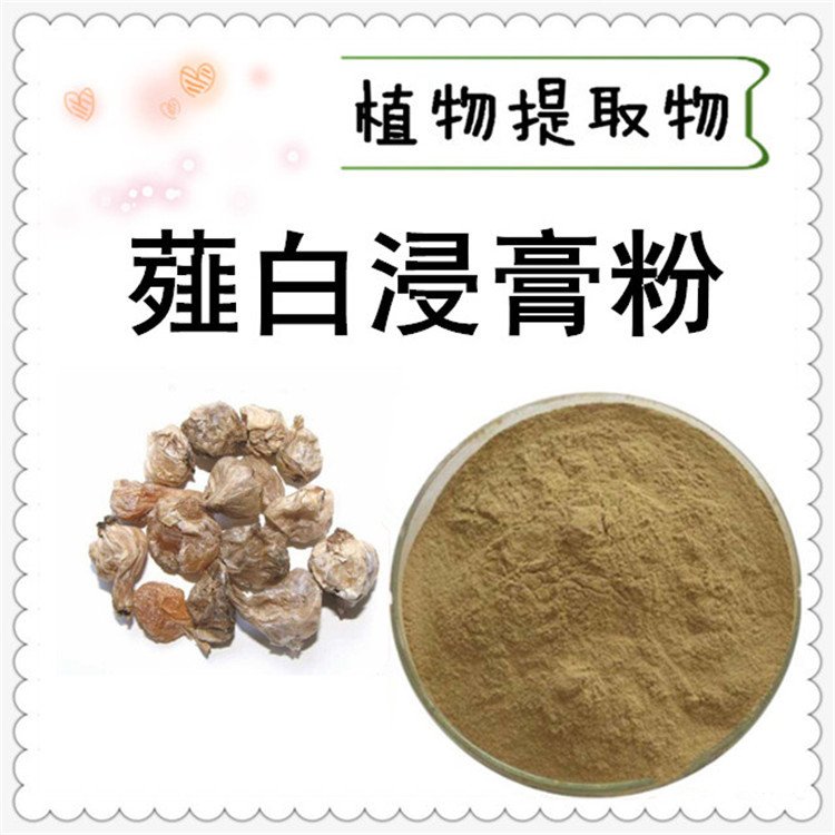 薤白浸膏粉 膏方滋方原料 食品级 规格齐全 支持定制