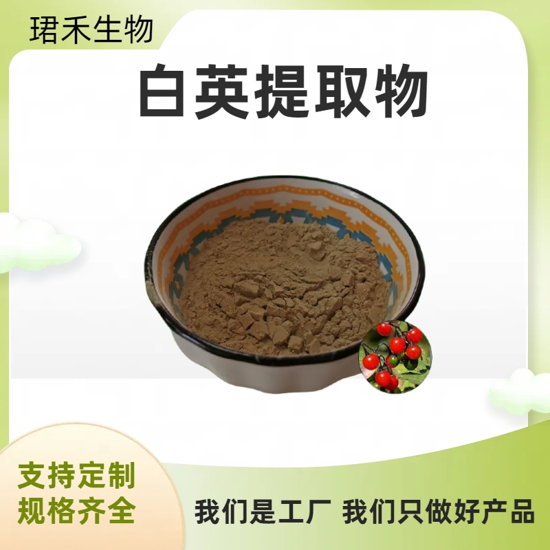 白英提取物/浸膏/浓缩粉 山甜菜水溶粉 喷雾干燥工艺 多规格 可定制