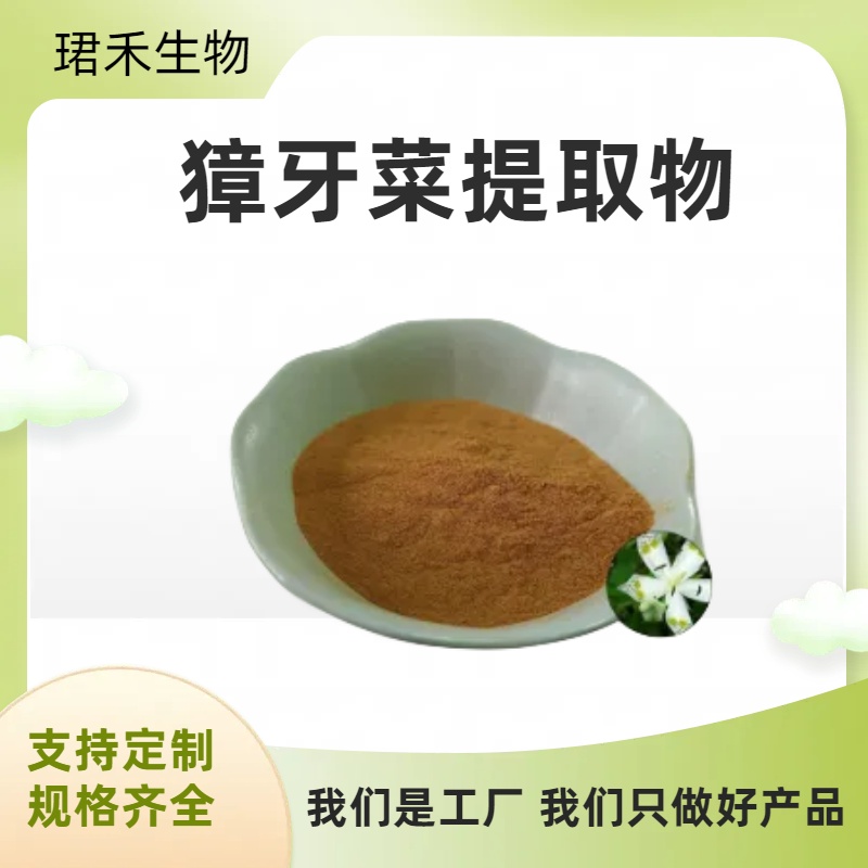 獐牙菜提取物 提取液 浓缩喷干 药食同源 粉末 可定制 珺禾