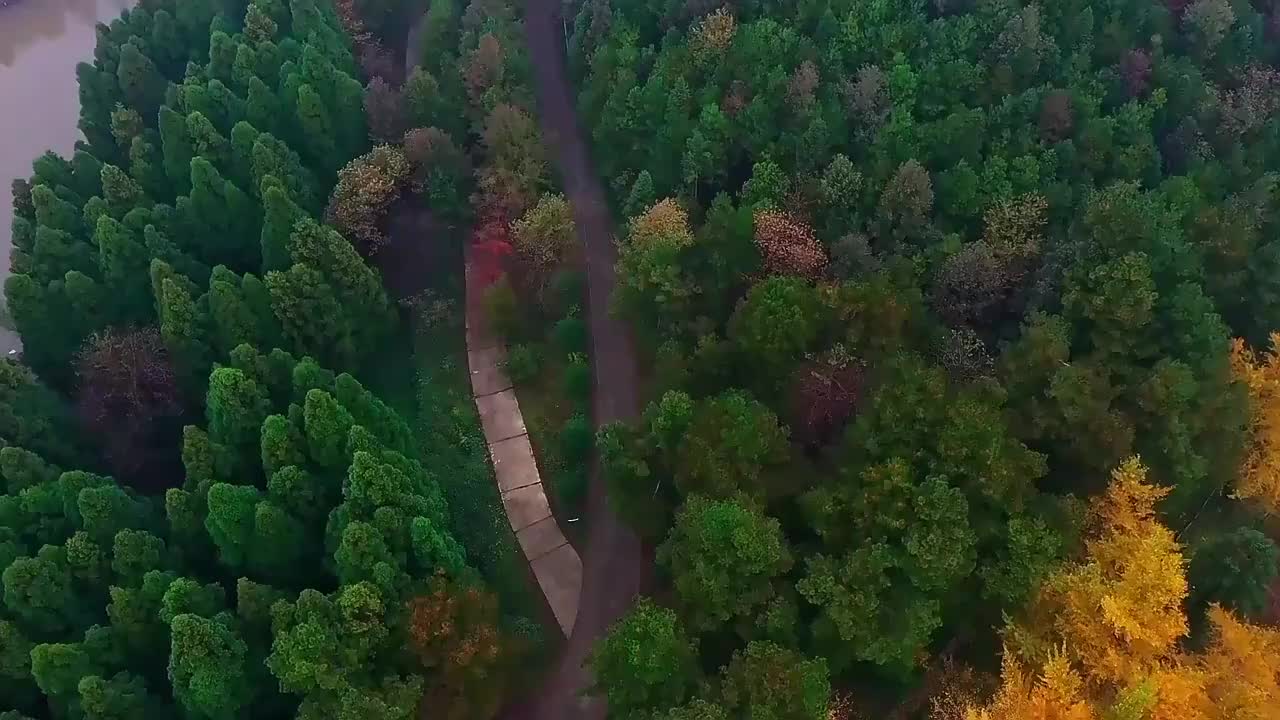 视频