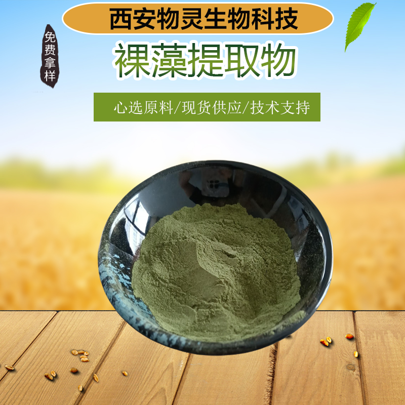 裸藻提取物 10:1 浓缩 多糖 喷雾干燥 绿虫藻粉 物灵生物 新资源食品原料