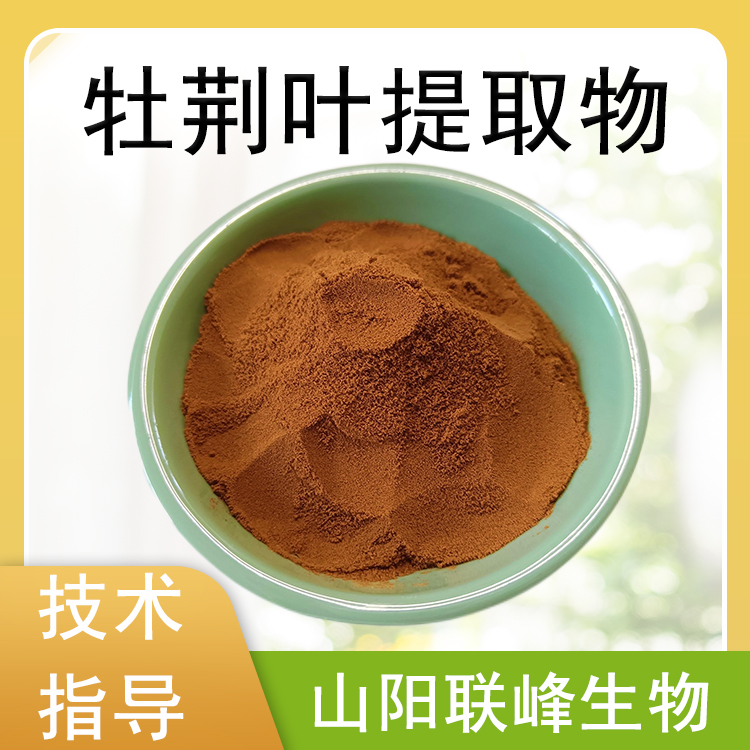 牡荆叶提取物 10：1浓缩粉 水溶萃取原料 支持多规格 1公斤/包