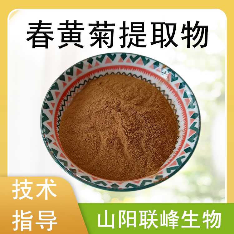 春黄菊提取物 10：1水溶浓缩浸膏粉 植物萃取原料 1公斤起订