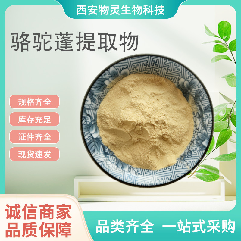 骆驼蓬提取物 比例萃取植物浓缩粉 10:1水溶原料 1kg起批
