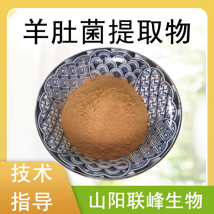 羊肚菌提取物 羊肚菌多糖 10：1羊肚菌浓缩粉 支持定制 1公斤/起订