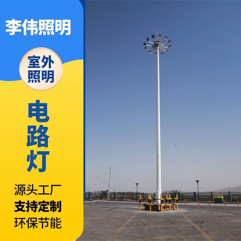 李伟 市电路灯 户外6米7米路灯杆 小区公园道路照明