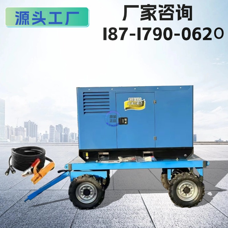 大泽动力 双把焊250A潍柴 洋马 柴油发电电焊机 管道户外施工噪音低
