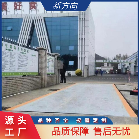 电子地磅 汽车衡 电子秤 支持深度称重 新方向 厂家定制