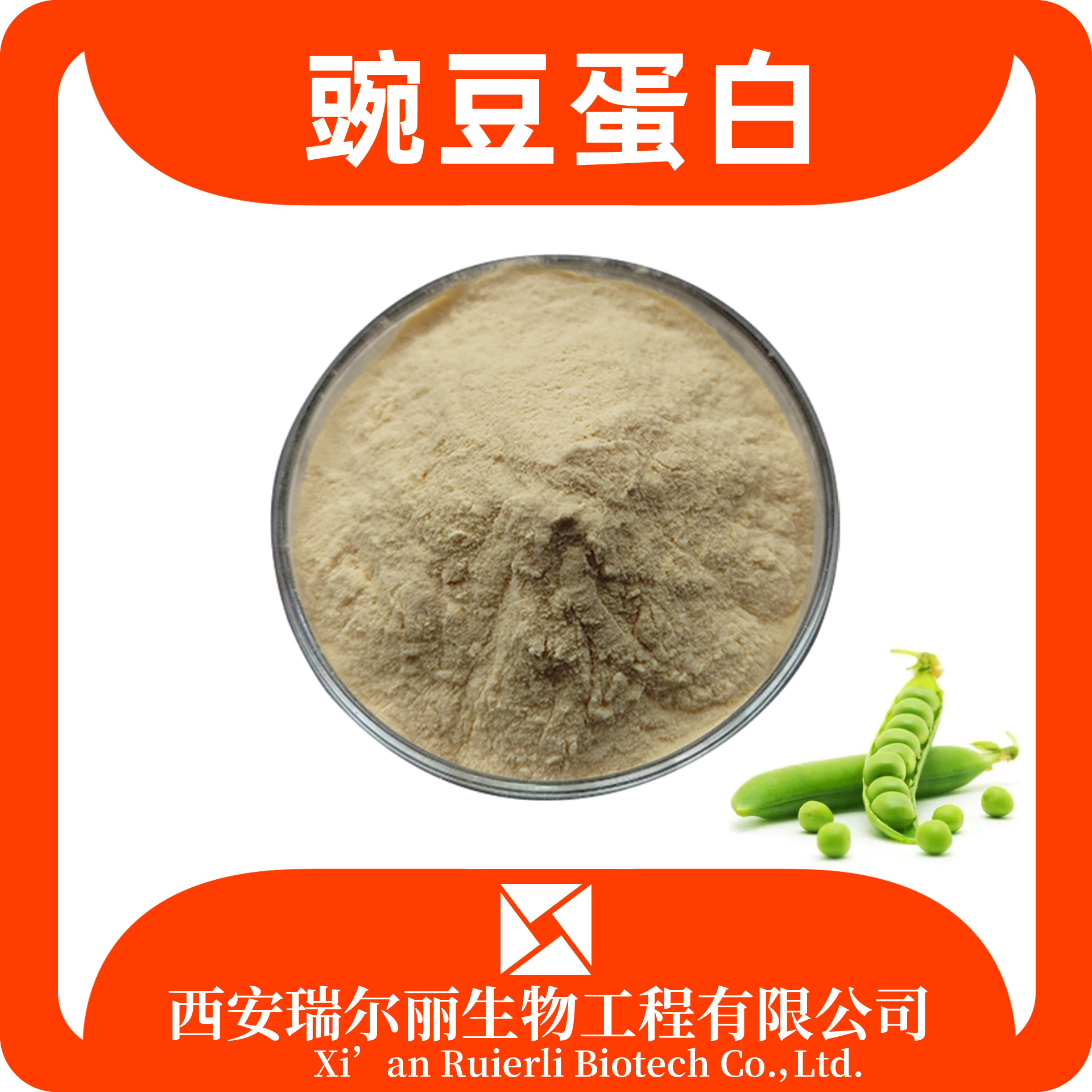 豌豆蛋白60% 豌豆分离蛋白粉 豌豆提取物 瑞尔丽生物 源头工厂