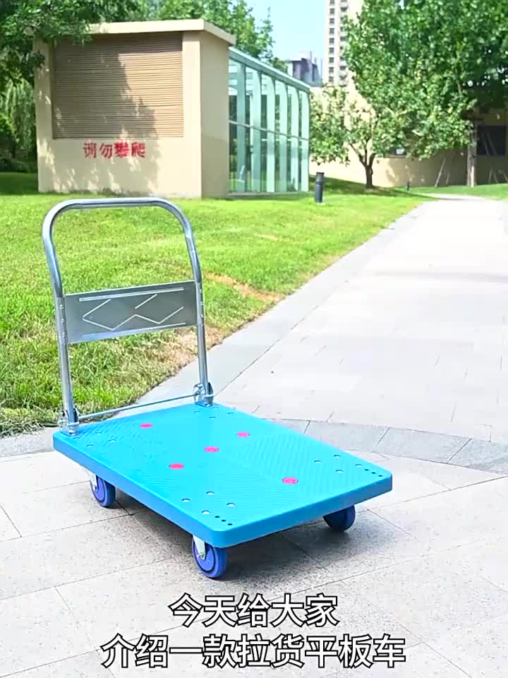 视频