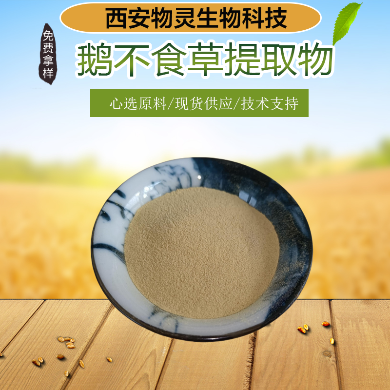 鹅不食草提取物 多比例浓缩粉 水溶性 原料 SC证 物灵生物 现货 资质齐全