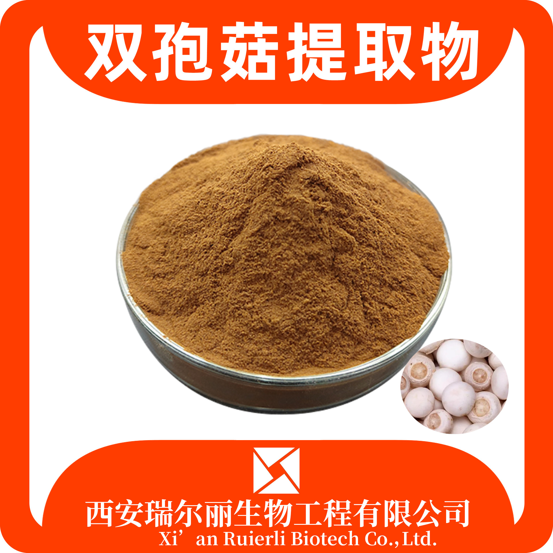 双孢菇提取物 水溶 双孢菇粉 速溶浓缩粉 SC证 瑞尔丽生物 源头厂家