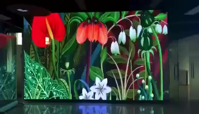 视频