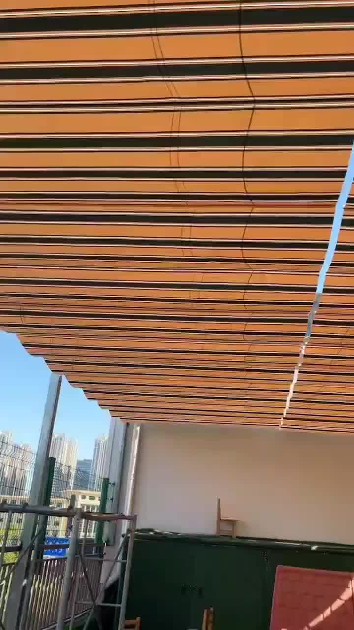 视频