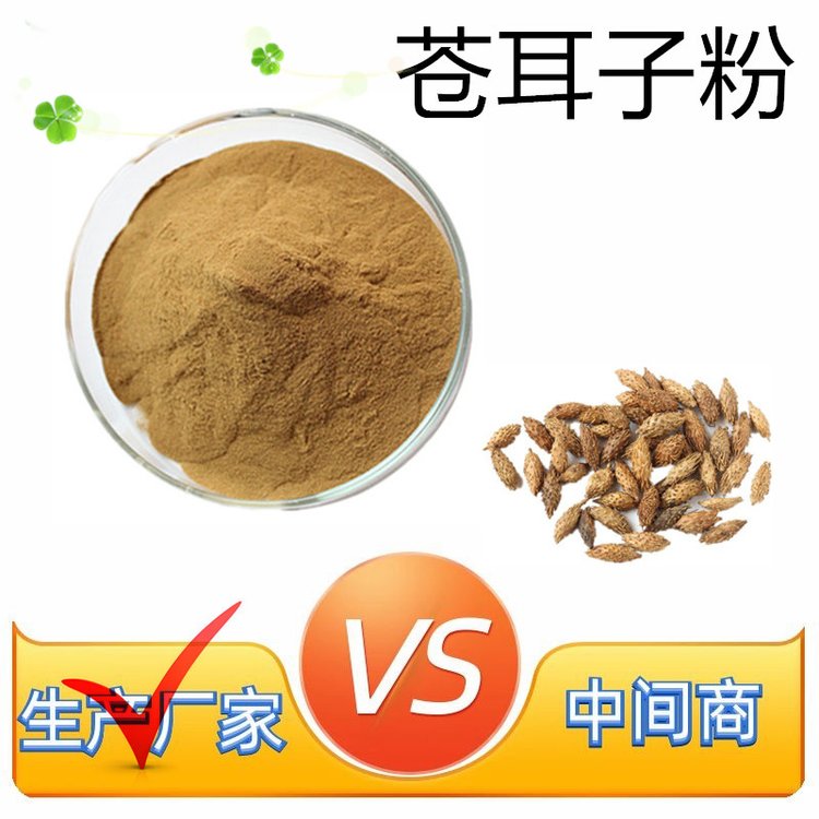 水溶性苍耳子粉 斯诺特 水提浓缩 植物萃取 1公斤起售