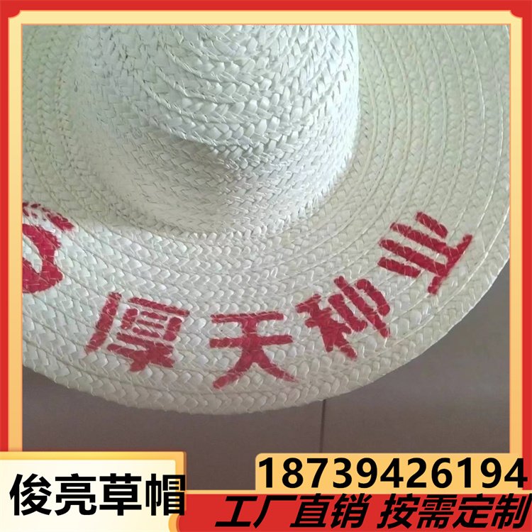 大沿草帽团购 春夏季男士女士成人巴拿马 棕丝草编织 俊亮