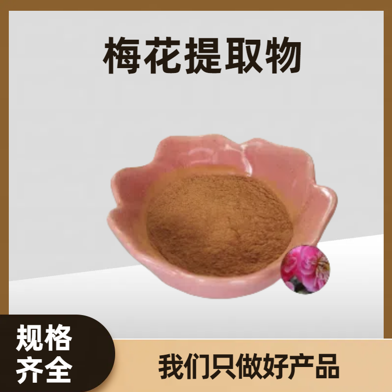 梅花提取物 食品级速溶粉 腊梅浓缩粉 浸膏粉 原料工厂