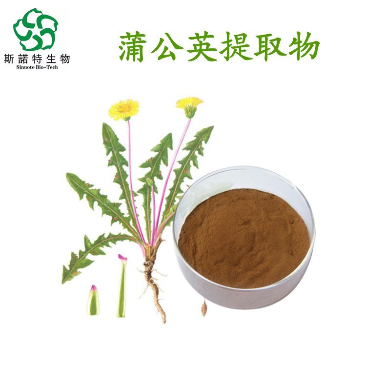 蒲公英提取物 食品级 SC证 水溶原料粉 支持拿样