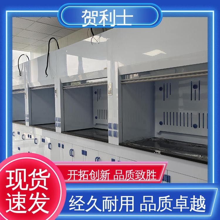 结构牢固可靠 净气型通风柜 性能好 保质保量 精致打造 贺利士