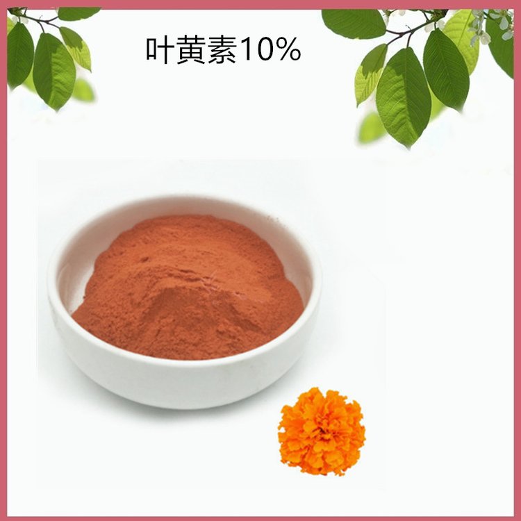 水溶性 叶黄素10% 万寿菊浓缩萃取 橘黄色 精细粉末