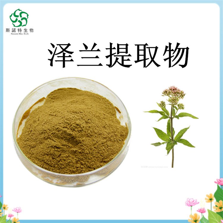 泽兰提取物 虎兰粉 Zephyr extract 出口级品质 斯诺特
