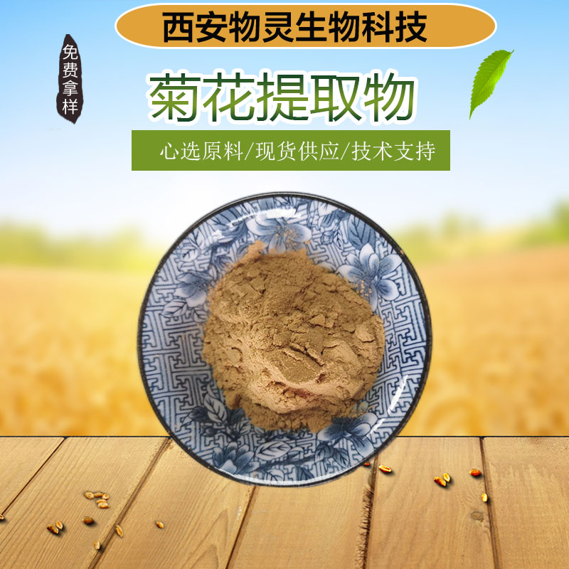 物灵生物 菊花提取物 植物提取 水溶性粉末 食品原料 1kg起批