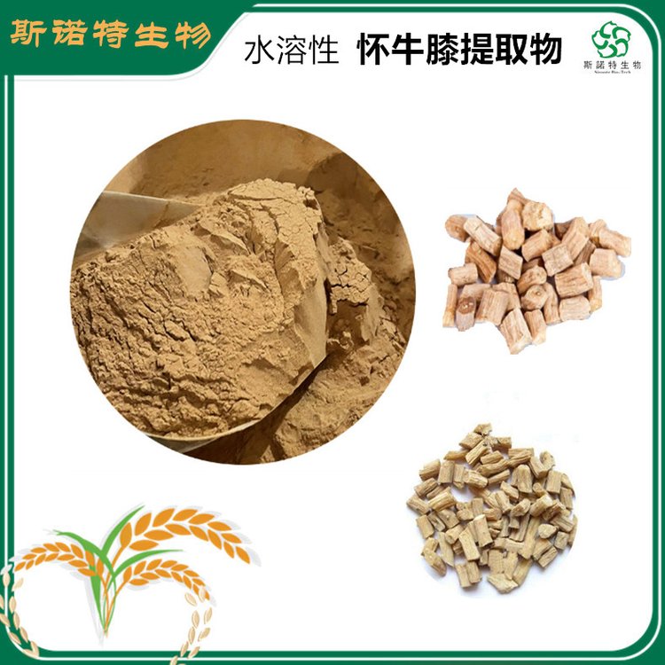 水溶性 怀牛膝提取物 精细粉末 水提醇提 多规格供应