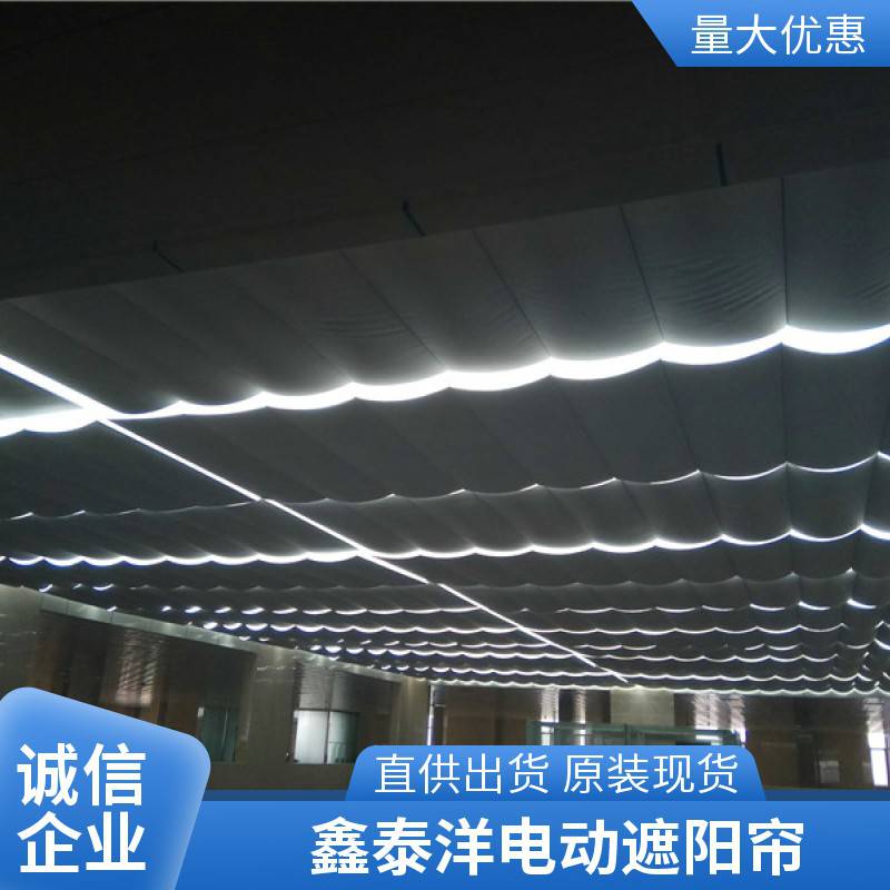阳光房电动遮阳帘 智能遥控开启 FCS天棚帘 规格定制 颜色多选 鑫泰洋