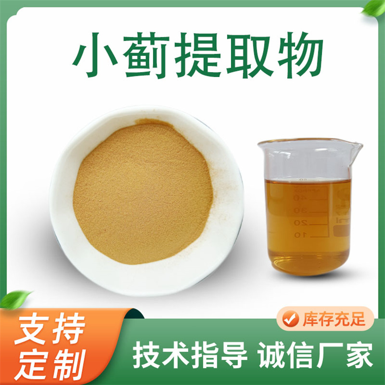 小蓟提取物10:1 浓缩萃取水溶小蓟粉 多规格 联峰生物供应