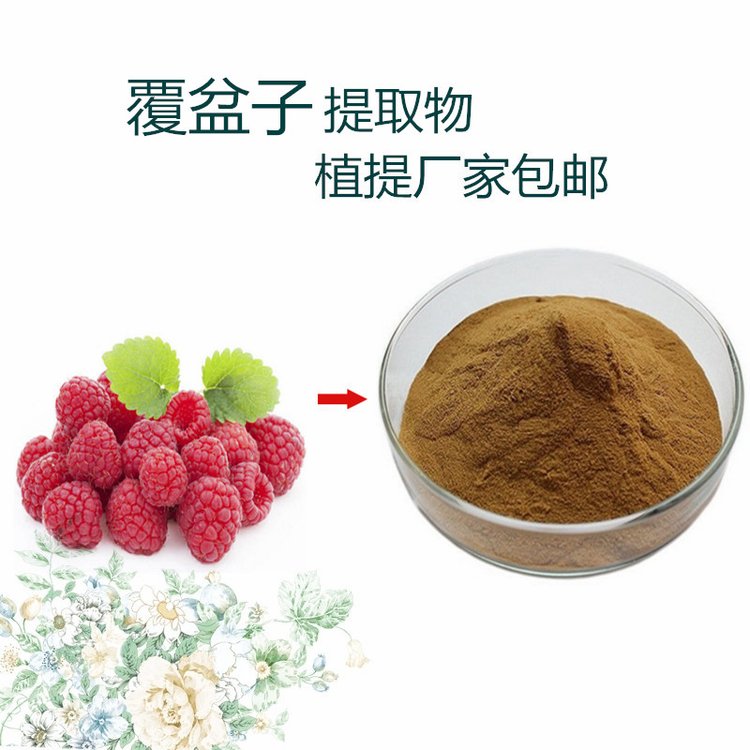 覆盆子提取物 树莓粉 果实浓缩萃取 食品饮料通用 包运价