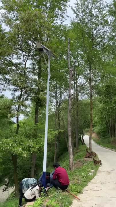 视频