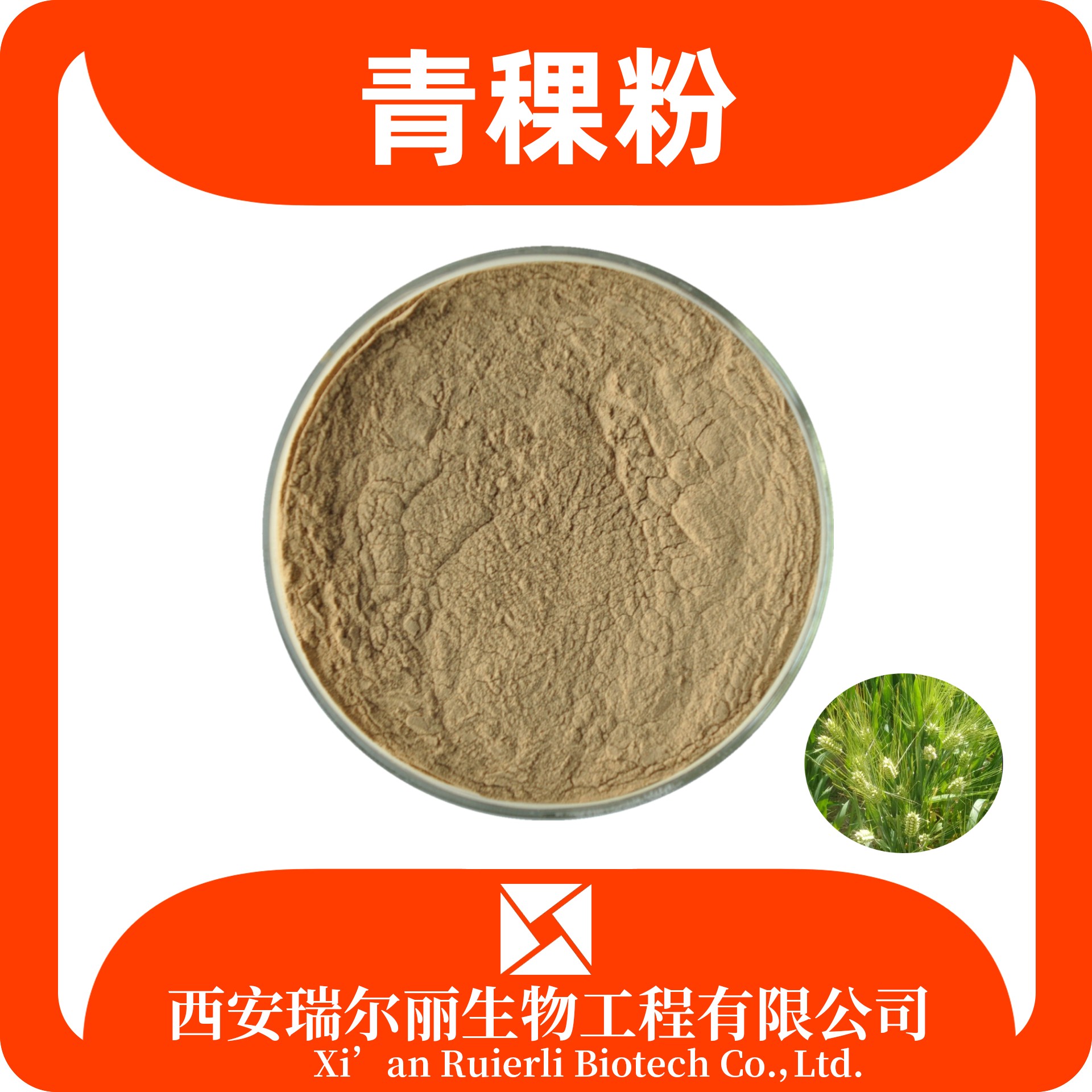 青稞粉 青稞提取物 速溶浓缩 SC证可定制 免费拿样 瑞尔丽生物