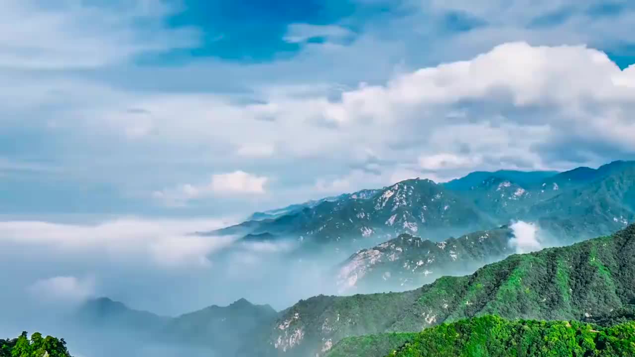 视频