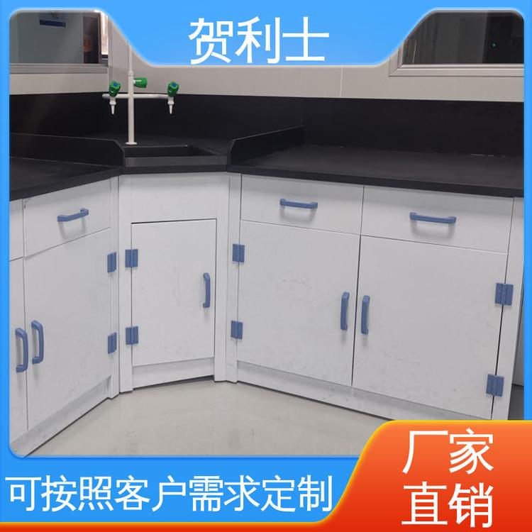 贺利士 可按需定制 耐酸碱实验家具 适用于医疗卫生 化学PP实验台