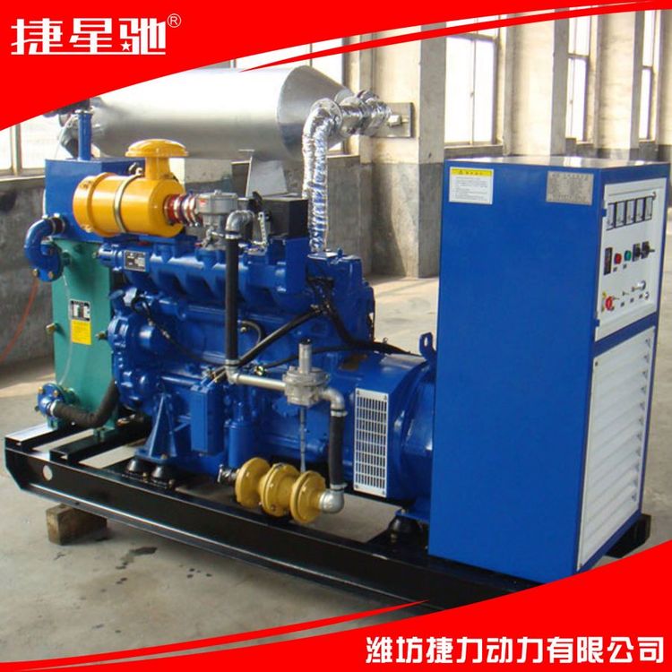 40KW 余热回收 天然气 沼气 柴油 静音箱 集装箱 电站 发电机组