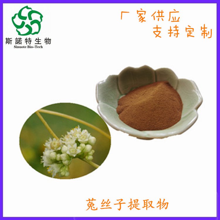 斯诺特 菟丝子提取物 水提工艺 原料粉 规格支持定制