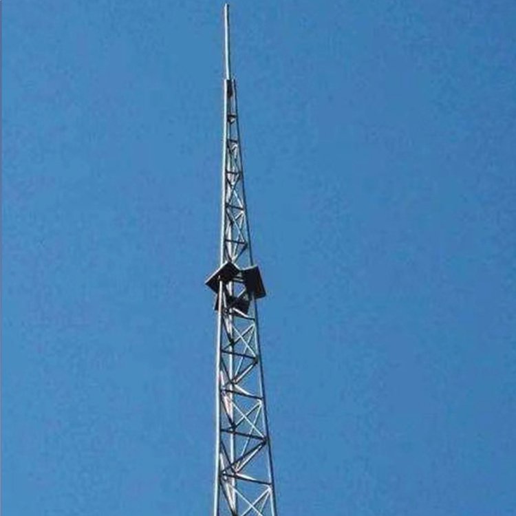 独立接闪杆 WG车辆避雷针Q235野外避雷塔 厂家支持定做