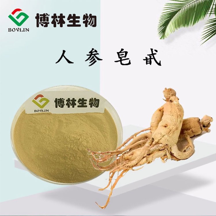 人参皂甙 80% 人参提取物 人参粉 博林生物 植提工厂