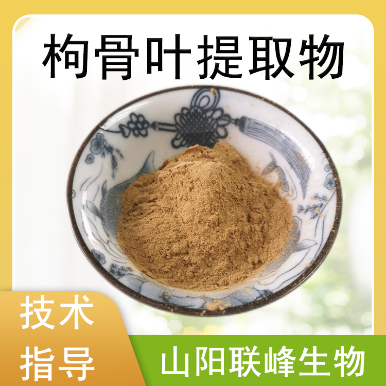 枸骨叶提取物 10：1浓缩浸膏粉 枸骨叶粉 食品原料萃取 1公斤/包