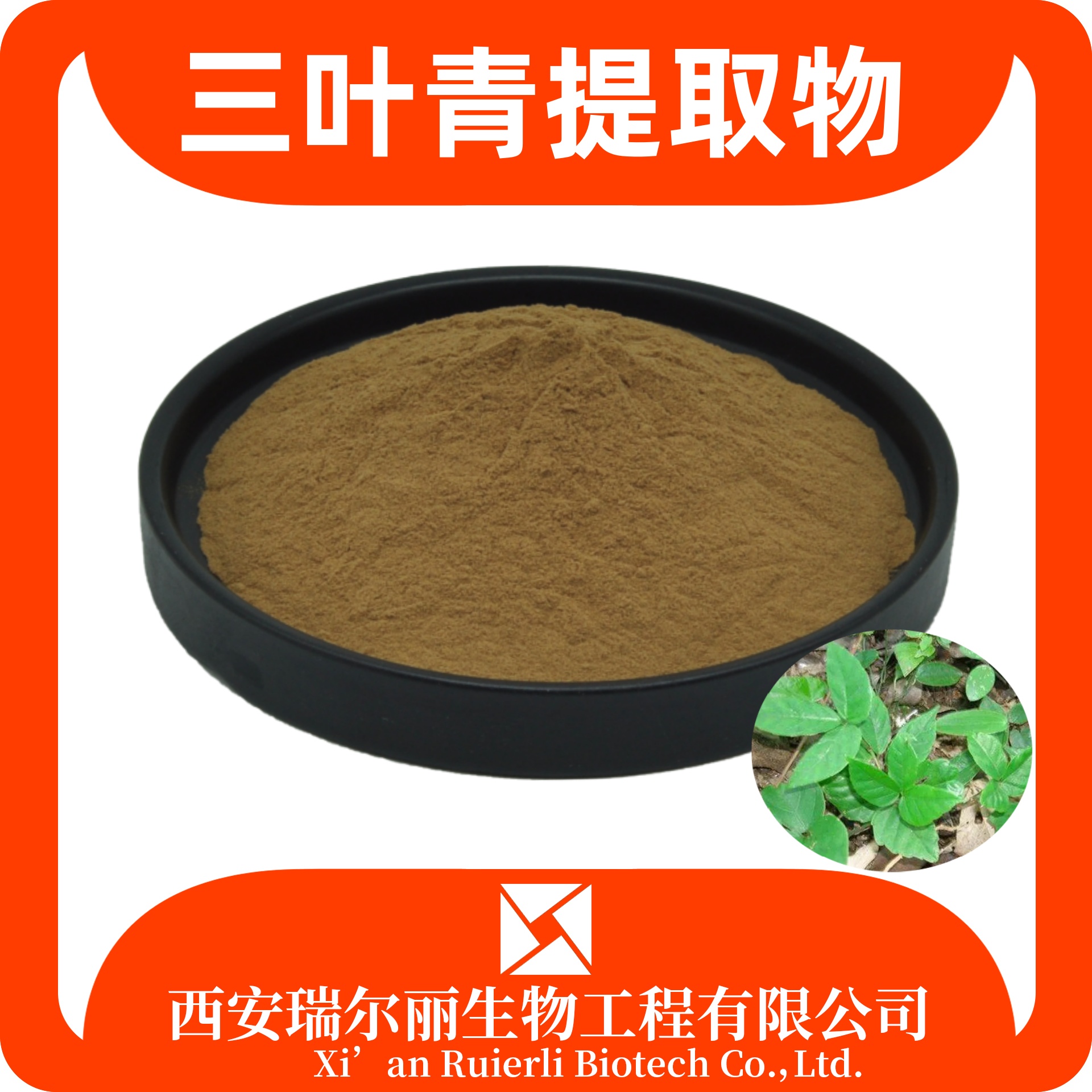 三叶青提取物 速溶三叶青粉 SC证可定是 食品级原料 瑞尔丽生物